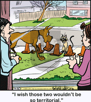 Marmaduke on Wednesday October 26, 2016 Comic Strip