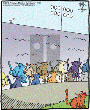 In the Bleachers on Wednesday August 15, 2018 Comic Strip