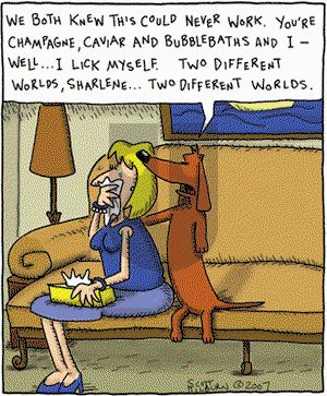 The Argyle Sweater on Tuesday March 20, 2007 Comic Strip