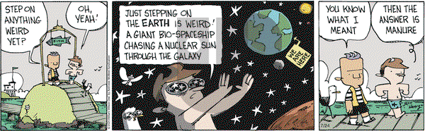 Wallace the Brave on Thursday July 24, 2025 Comic Strip
