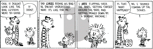 Calvin and Hobbes - Saturday June 24, 1995 Comic Strip