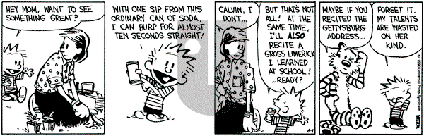 Calvin and Hobbes on Tuesday August 22, 1995 Comic Strip