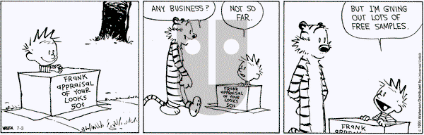 Calvin and Hobbes on Friday July 3, 2015 Comic Strip