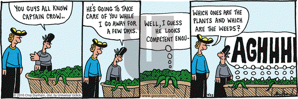 Overboard on Monday July 25, 2016 Comic Strip