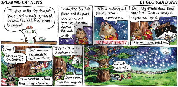 Breaking Cat News - Sunday August 21, 2022 Comic Strip