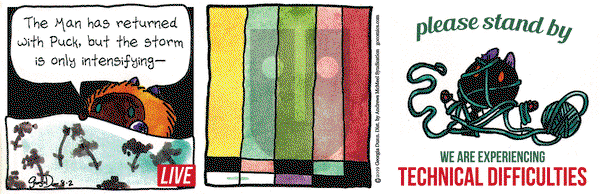 Breaking Cat News on Friday August 2, 2019 Comic Strip