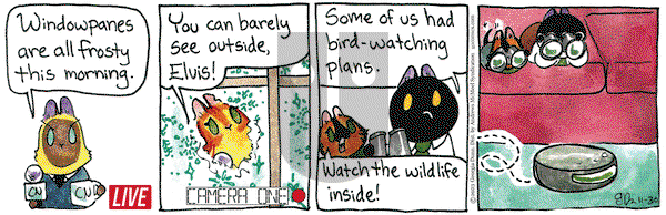 Breaking Cat News - Thursday November 30, 2023 Comic Strip