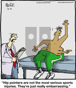In the Bleachers - Wednesday December 9, 2009 Comic Strip