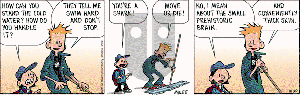 Frazz on Tuesday October 20, 2015 Comic Strip