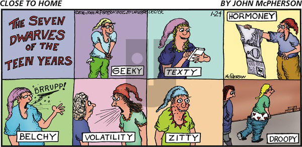 Close to Home on Sunday January 24, 2016 Comic Strip