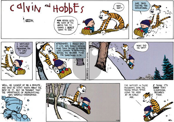Calvin and Hobbes on Sunday February 17, 1991 Comic Strip