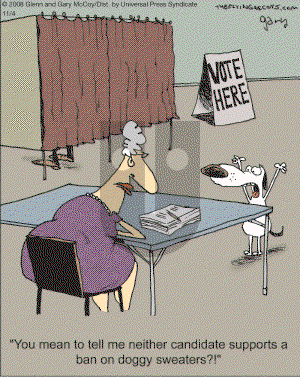 The Flying McCoys on Tuesday November 4, 2008 Comic Strip