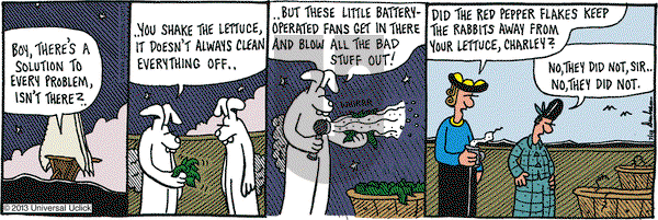 Overboard on Thursday July 18, 2013 Comic Strip
