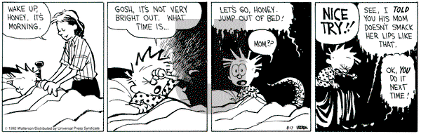 Calvin and Hobbes on Monday August 17, 1992 Comic Strip