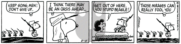 Peanuts on Friday August 15, 1980 Comic Strip