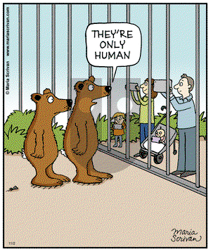Half Full on Saturday November 2, 2013 Comic Strip