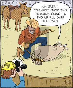 Brevity on Tuesday November 18, 2008 Comic Strip