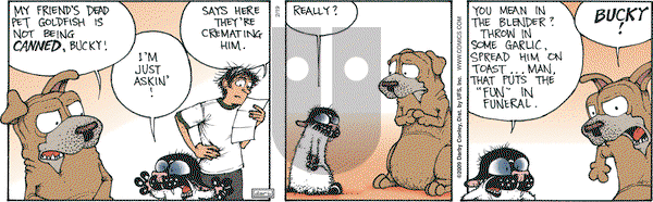 Get Fuzzy on Thursday February 19, 2009 Comic Strip