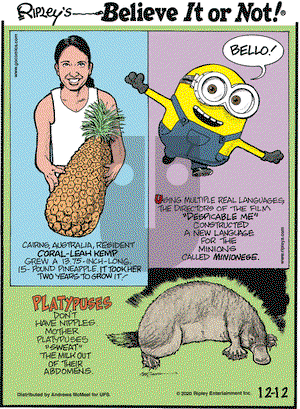 Ripley's Believe It or Not on Saturday December 12, 2020 Comic Strip