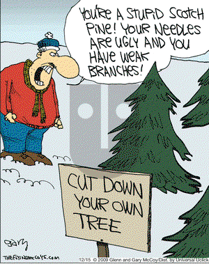 The Flying McCoys on Tuesday December 15, 2009 Comic Strip