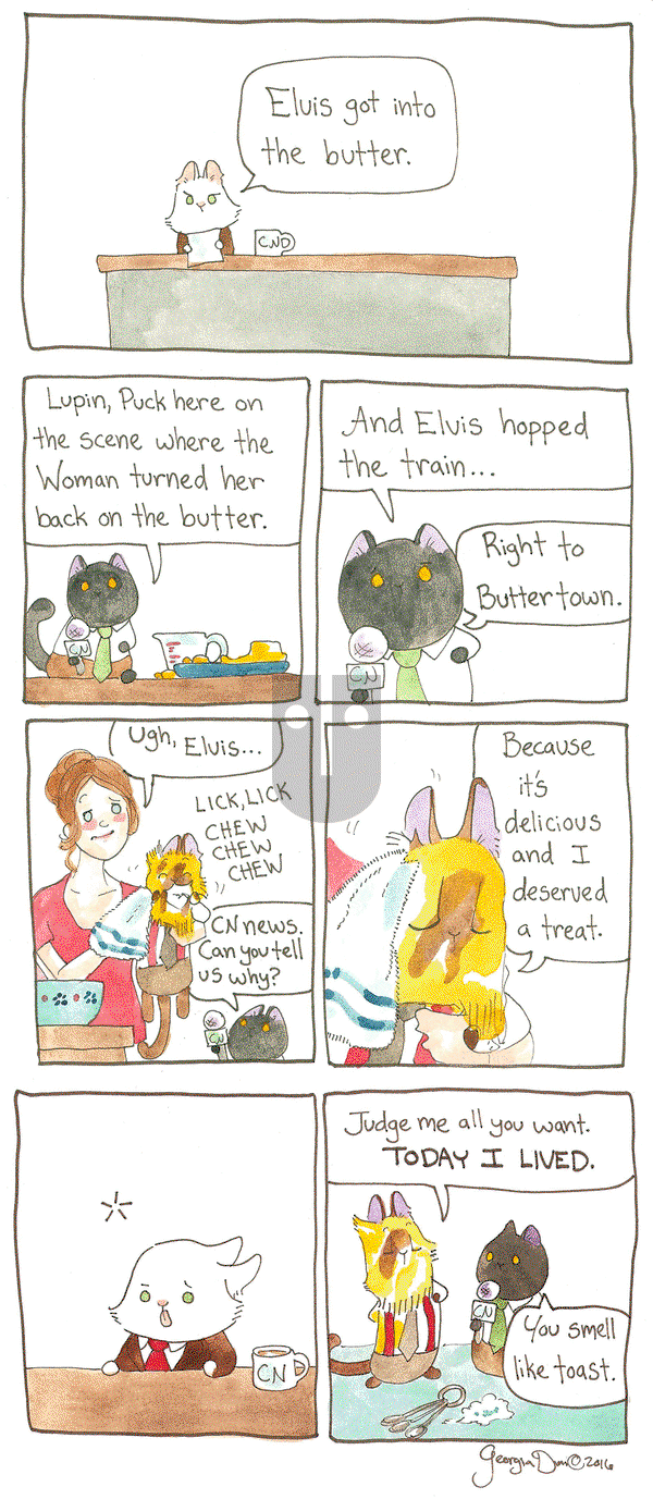 Breaking Cat News on Thursday February 16, 2017 Comic Strip