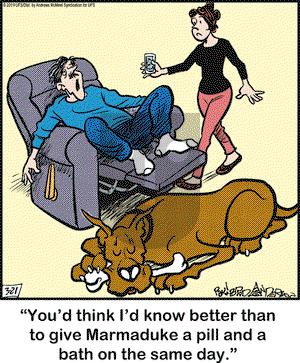 Marmaduke on Thursday March 21, 2019 Comic Strip