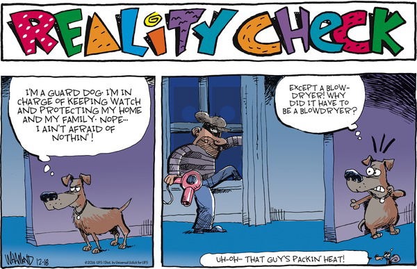 Reality Check on Sunday December 18, 2016 Comic Strip