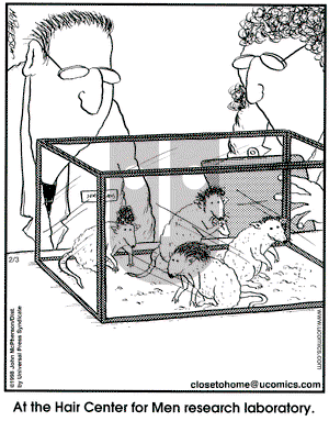 Close to Home on Tuesday February 3, 2004 Comic Strip