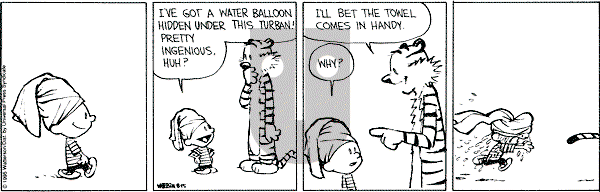 Calvin and Hobbes - Tuesday August 15, 1995 Comic Strip