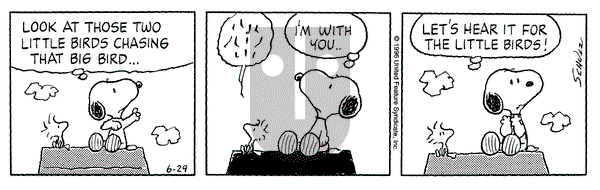 Peanuts on Saturday June 29, 1996 Comic Strip