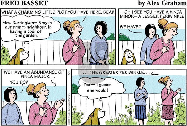 Fred Basset on Sunday June 1, 2008 Comic Strip