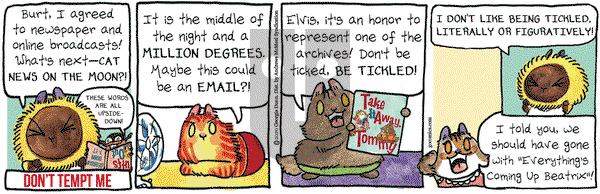 Breaking Cat News on Friday July 17, 2020 Comic Strip