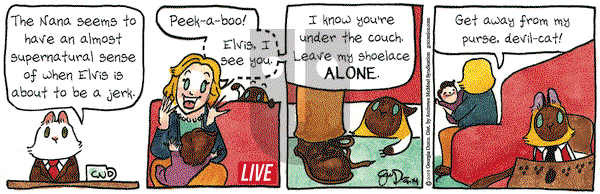 Breaking Cat News on Saturday September 14, 2019 Comic Strip