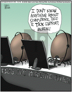 The Flying McCoys on Wednesday November 14, 2018 Comic Strip
