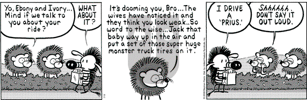 Pearls Before Swine on Friday July 18, 2008 Comic Strip