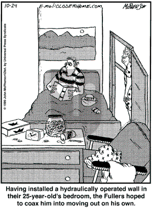 Close to Home on Friday October 24, 2008 Comic Strip