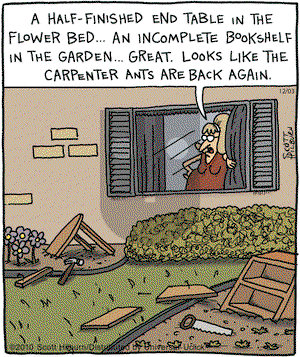 The Argyle Sweater on Friday December 3, 2010 Comic Strip
