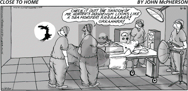 Close to Home on Sunday June 6, 2010 Comic Strip