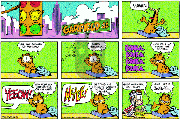 Garfield on Sunday August 22, 1993 Comic Strip