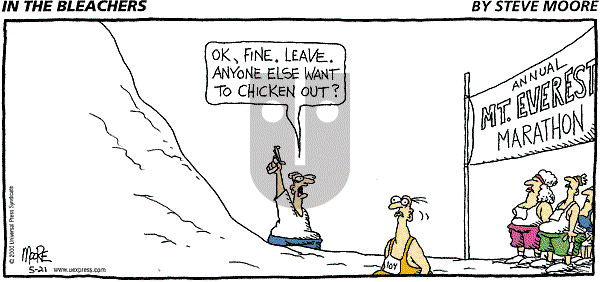 In the Bleachers - Sunday May 21, 2000 Comic Strip