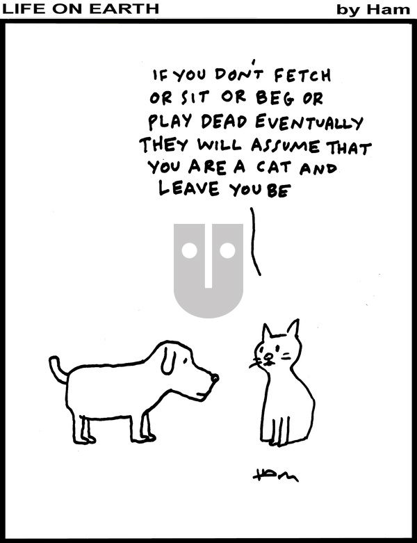 Life on Earth on Friday March 14, 2025 Comic Strip