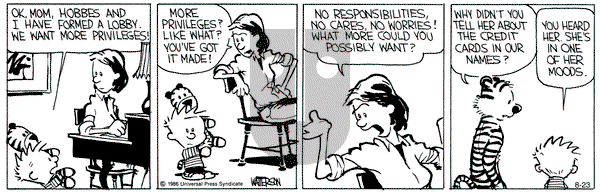 Calvin and Hobbes on Friday August 23, 1991 Comic Strip