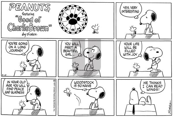 Peanuts on Sunday September 18, 1977 Comic Strip