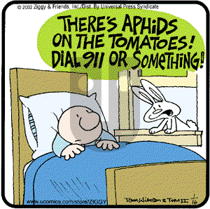 Ziggy - Wednesday January 16, 2002 Comic Strip