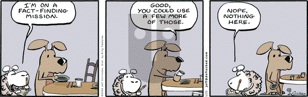 DeFlocked on Wednesday January 21, 2009 Comic Strip