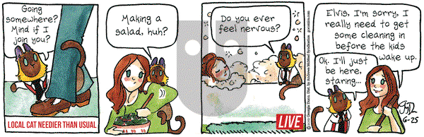 Breaking Cat News on Tuesday June 25, 2019 Comic Strip