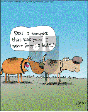 The Flying McCoys on Thursday January 23, 2014 Comic Strip