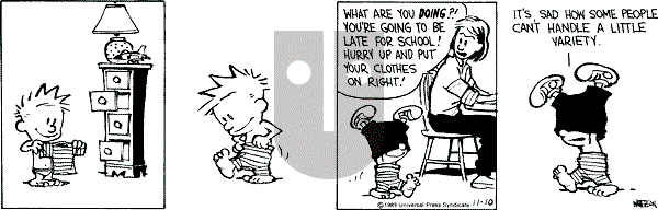 Calvin and Hobbes - Thursday November 10, 1994 Comic Strip