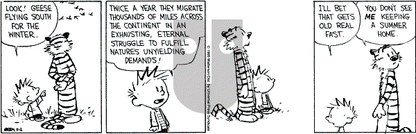 Calvin and Hobbes - Thursday November 2, 1995 Comic Strip