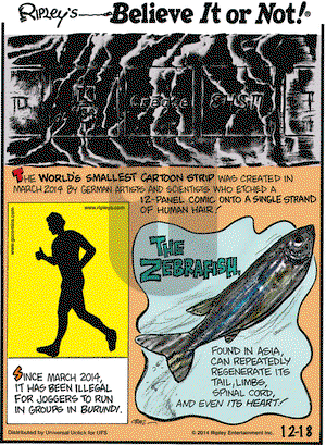 Ripley's Believe It or Not on Thursday December 18, 2014 Comic Strip